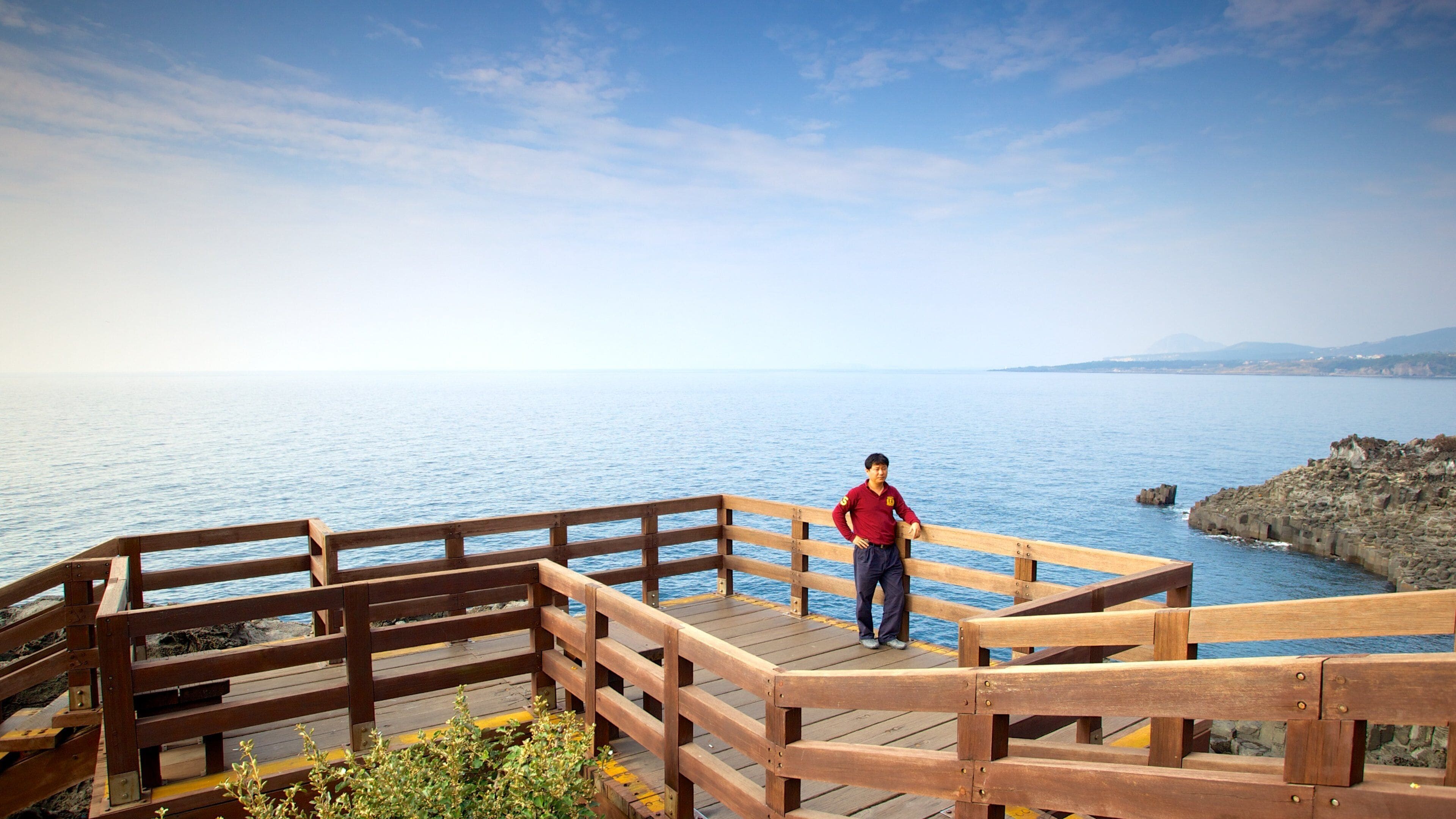 Jusangjeolli Cliff featuring views, landscape views and general coastal views