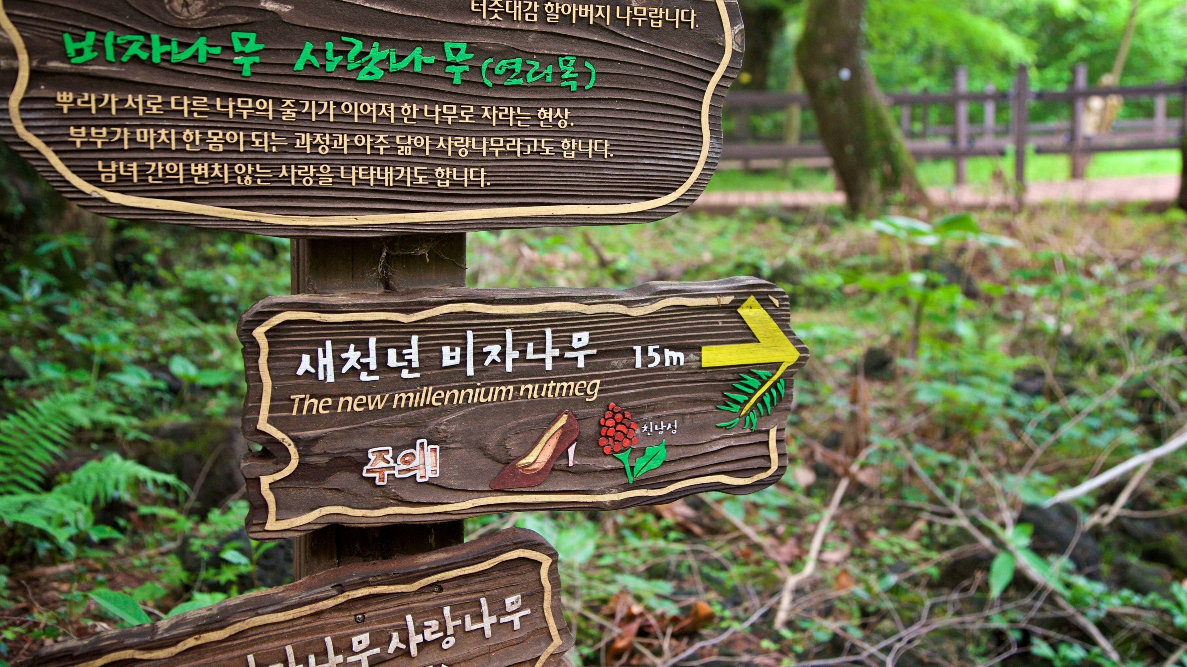 Bijarim Forest which includes signage