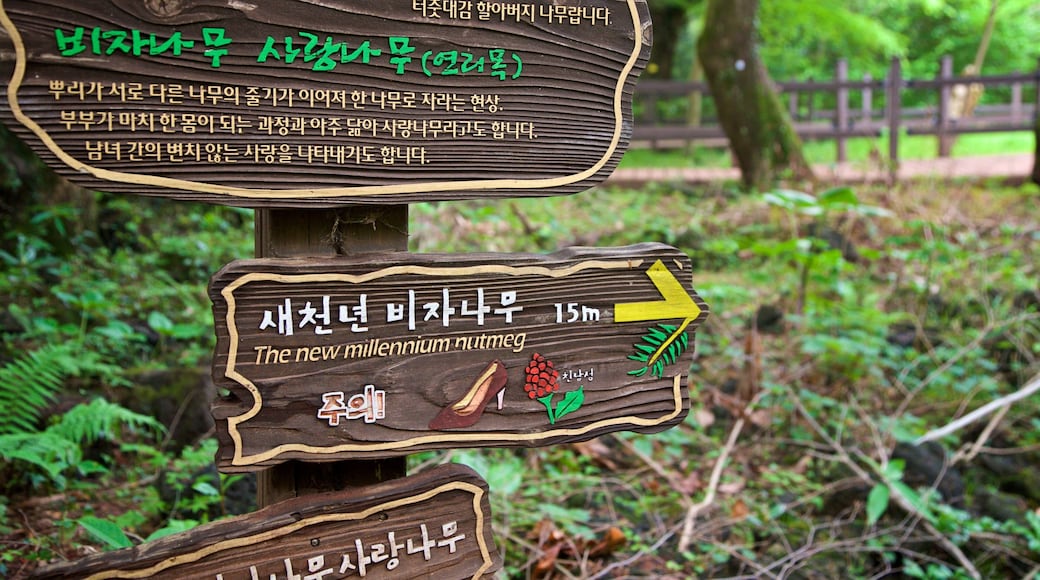 Bijarim Forest which includes signage