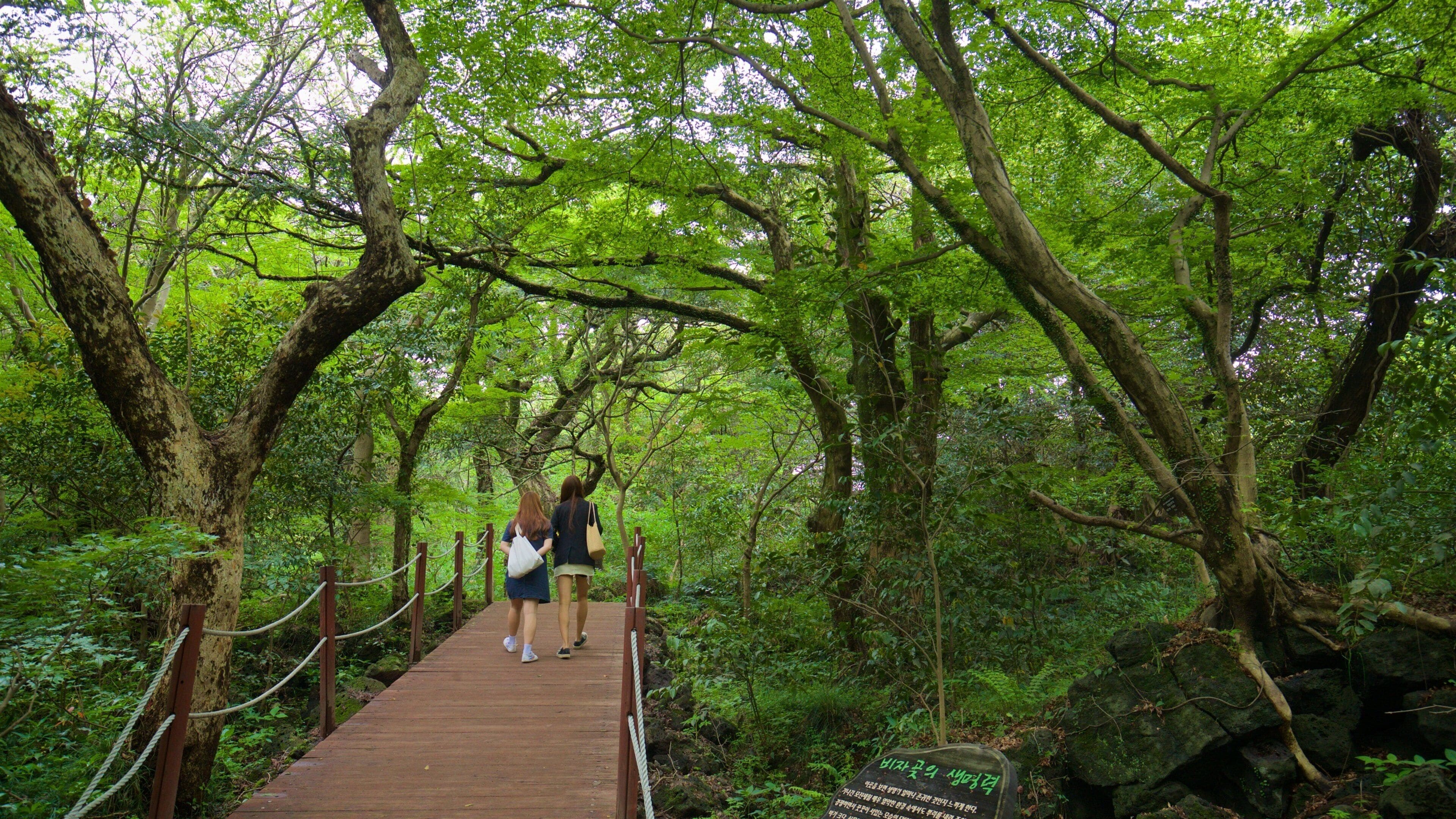 Bijarim Forest featuring forests and a park as well as a couple
