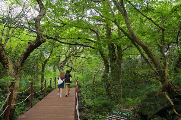 Bijarim Forest featuring forests and a park as well as a couple