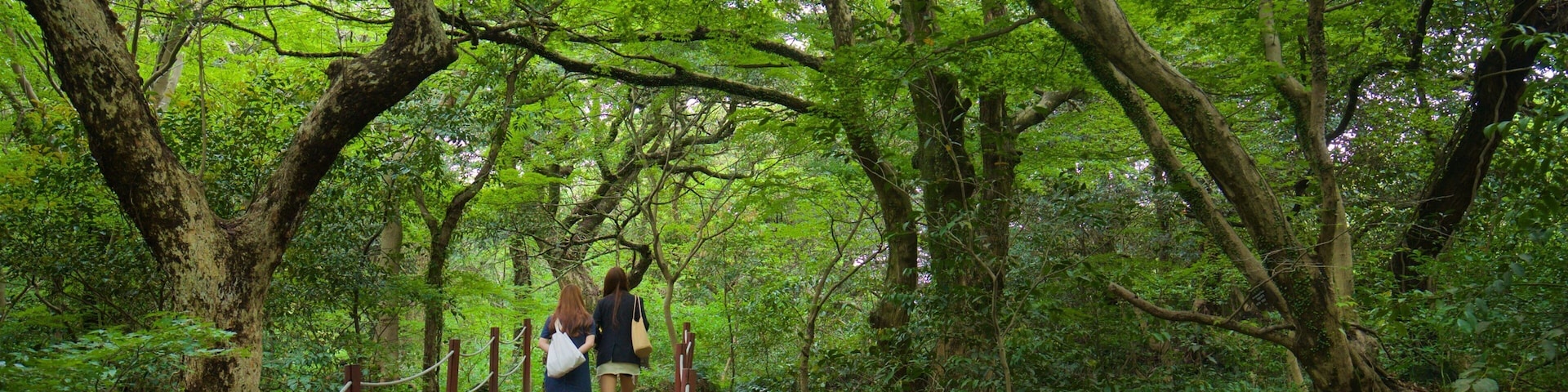 Bijarim Forest featuring forests and a park as well as a couple