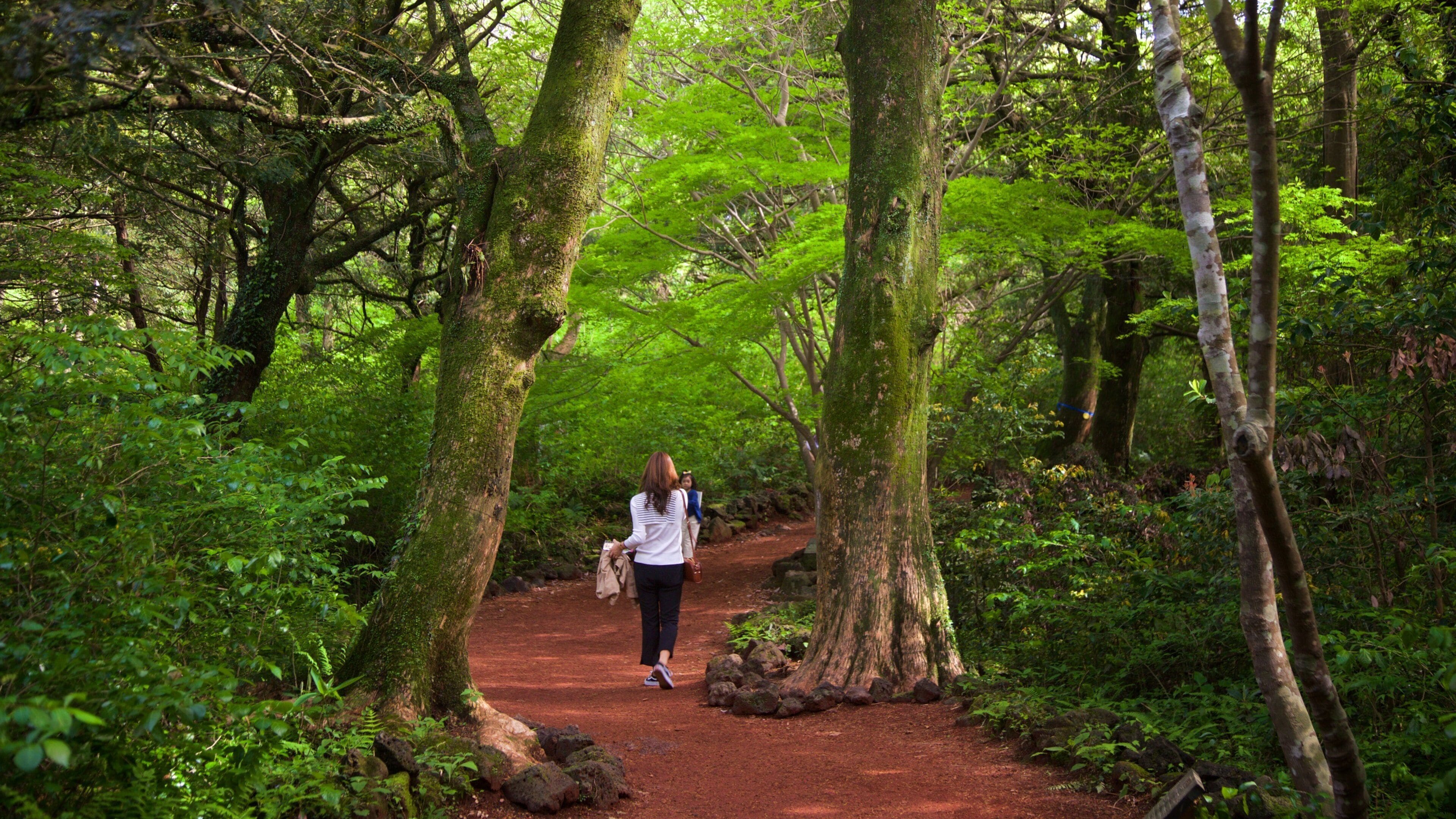 Bijarim Forest featuring forest scenes and a garden as well as an individual femail