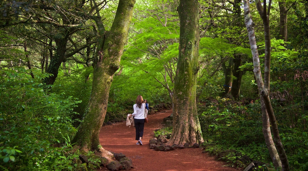 Bijarim Forest featuring forest scenes and a garden as well as an individual femail