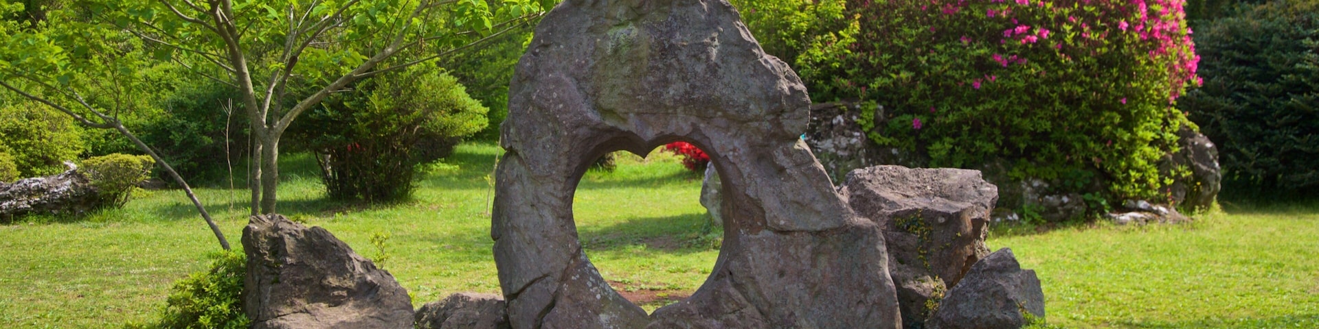 Bijarim Forest showing a garden and wildflowers