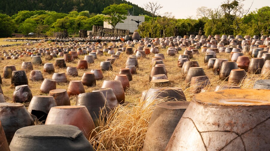 Kimchi Jars in Jeju Stone Park; Shutterstock ID 1102663199; purchase_order: SF 06557000; job: ; client: ; other: