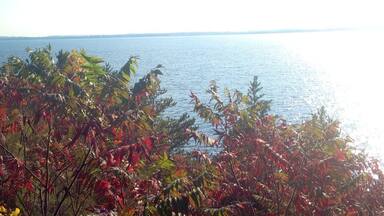 Beautiful wide open view of the lake from this first overlook inside the state park