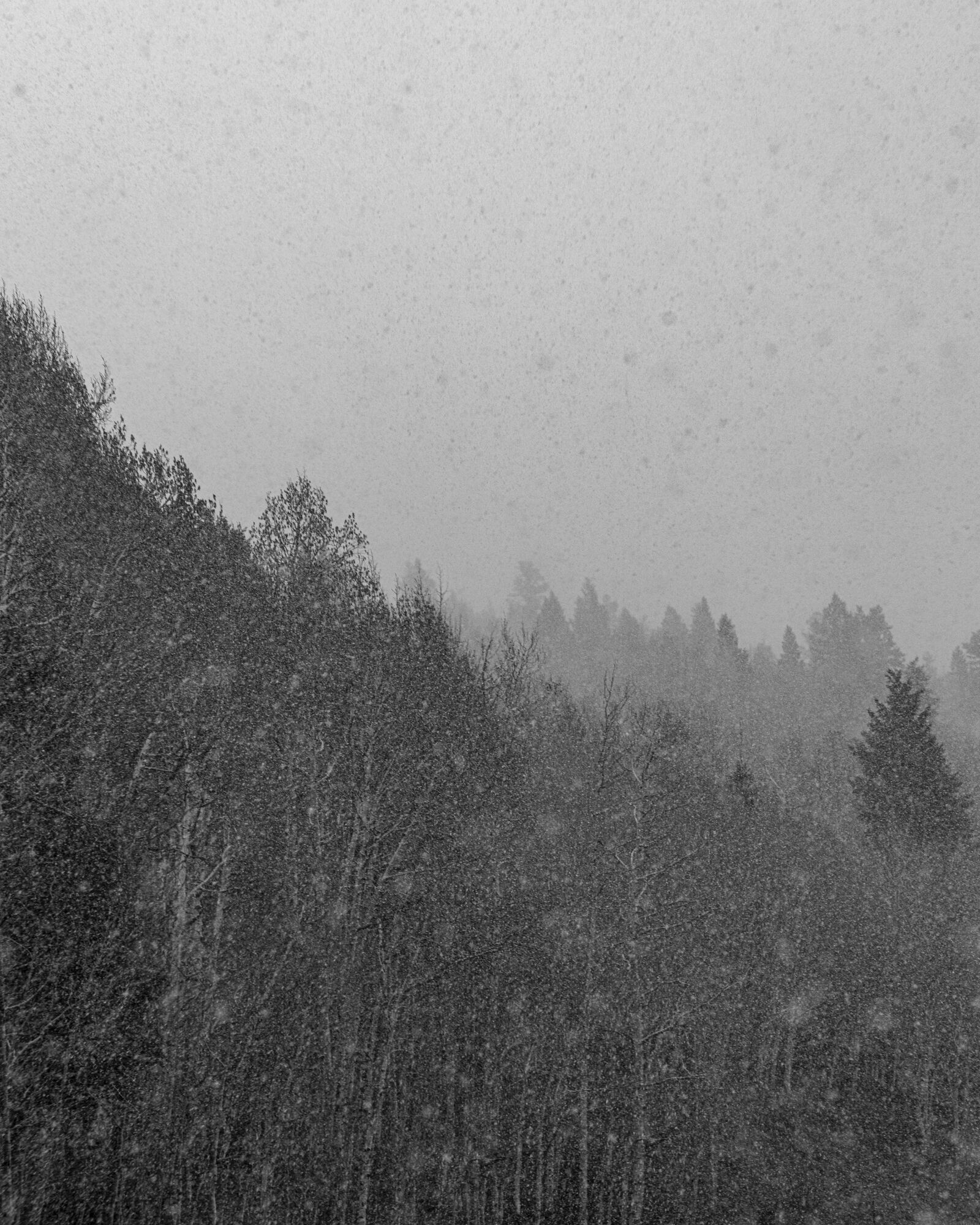 meandering my way across Utah I drove up to Fish lake. At 8900 feet I was not expecting to drive through a Blizzard. But that is exactly what I drove through. I was literally giddy. Escaping summer heat, it was only May but still, and climbing to where the snow was still falling. I hadn't been in a good snow in years, so this was a very welcome sight. 