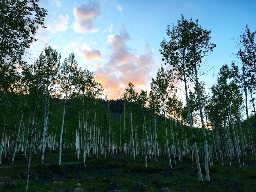 Doctor creek camping, Fishlake Utah.