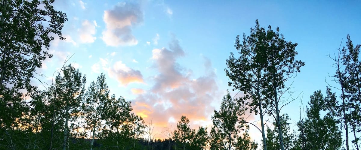 Doctor creek camping, Fishlake Utah.