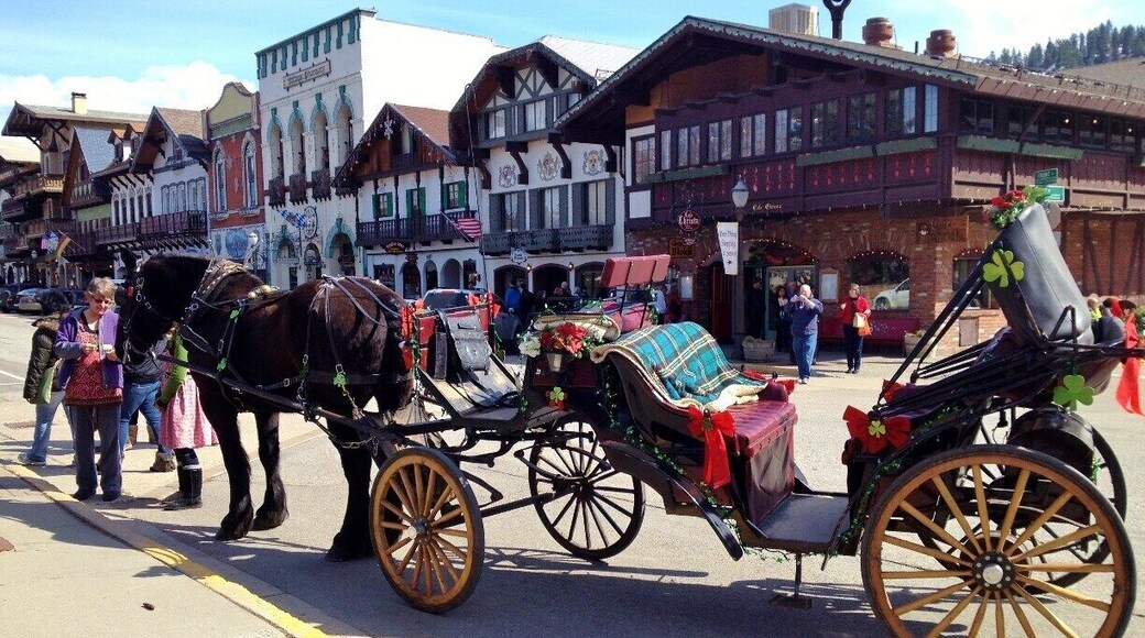 A fun way to see downtown Leavenworth.
