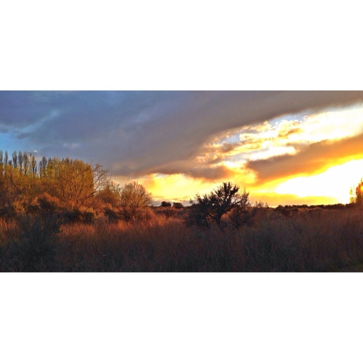 Sunset from my campsite at Potholes State Park-- located in Eastern, Washington 