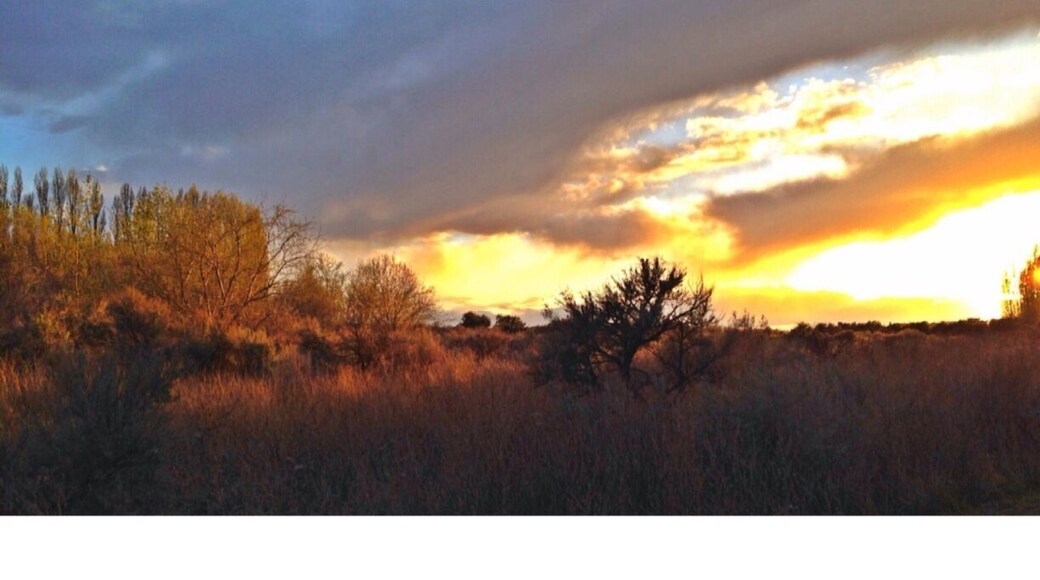 Sunset from my campsite at Potholes State Park-- located in Eastern, Washington
