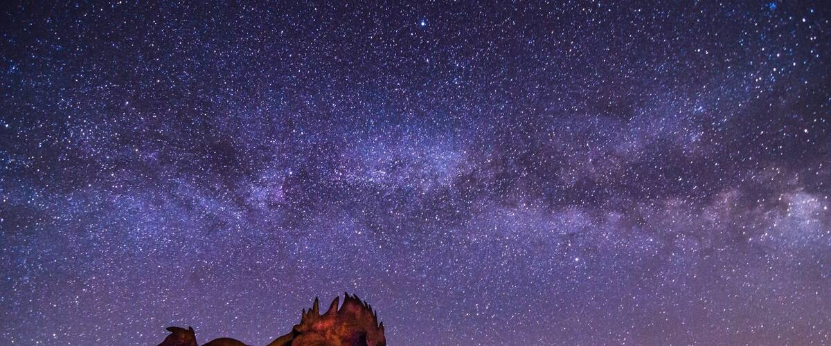 Photo by Craig Goodwin. Horse sculpture by Dave Govedare, ”Grandfather Cuts Loose the Ponies.” Help finish the monument - fundthebasket.com