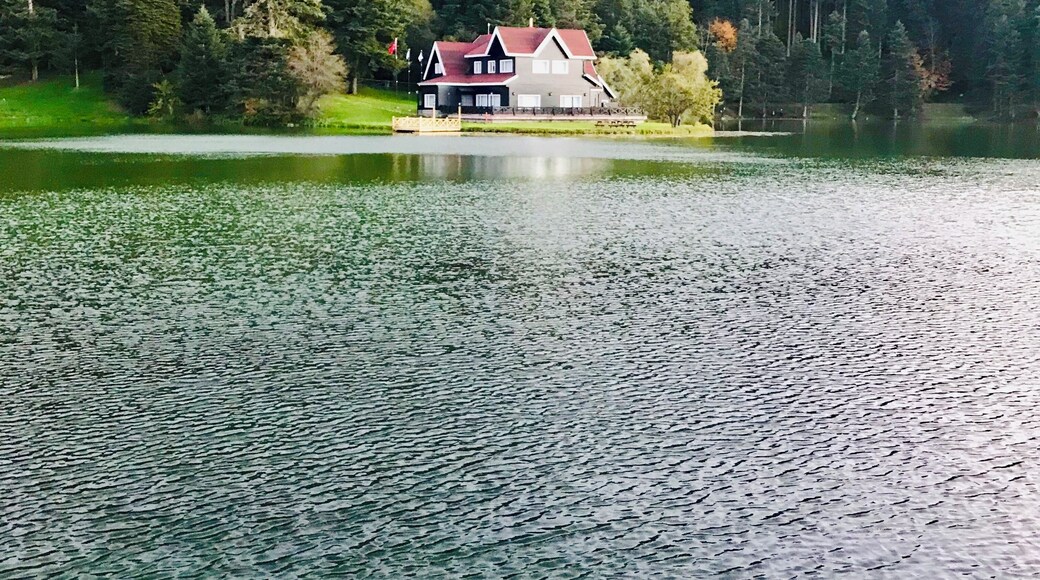 Muhteşem bir doğa ve gölle bütünleşmesi görülmeye değer. #gölcüktabiatparkı #gölcük