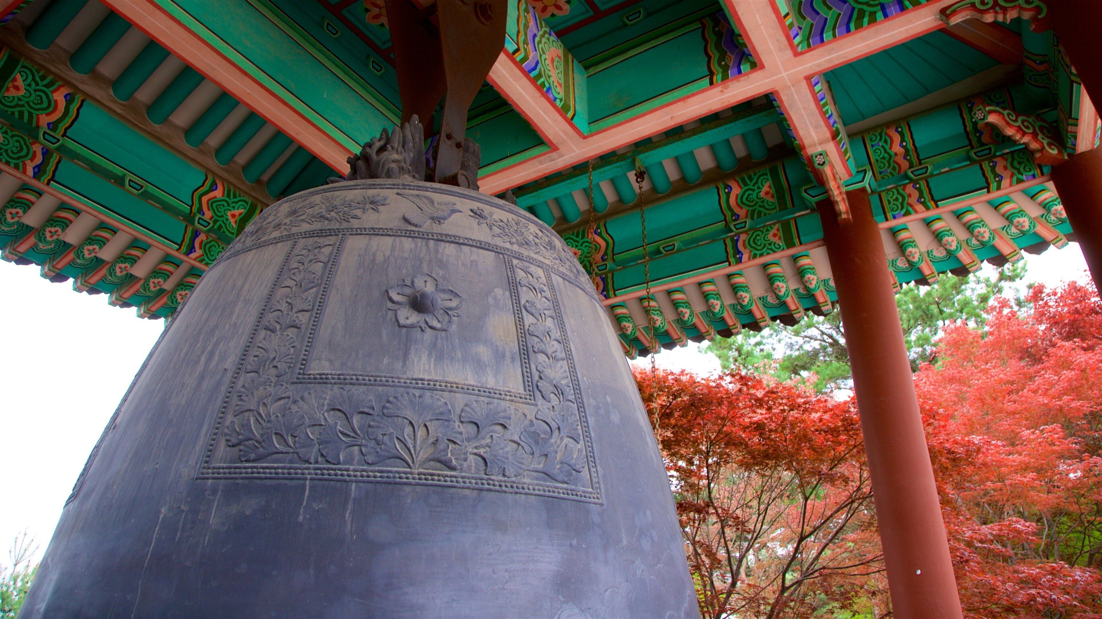 Klok van Hyowon inclusief historisch erfgoed en wilde bloemen