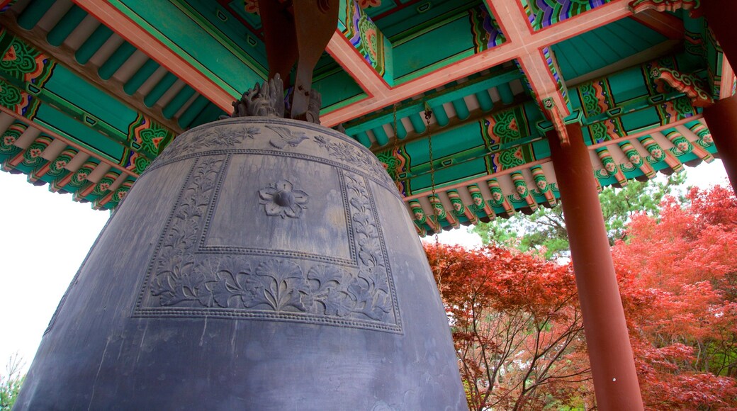 Klok van Hyowon inclusief historisch erfgoed en wilde bloemen