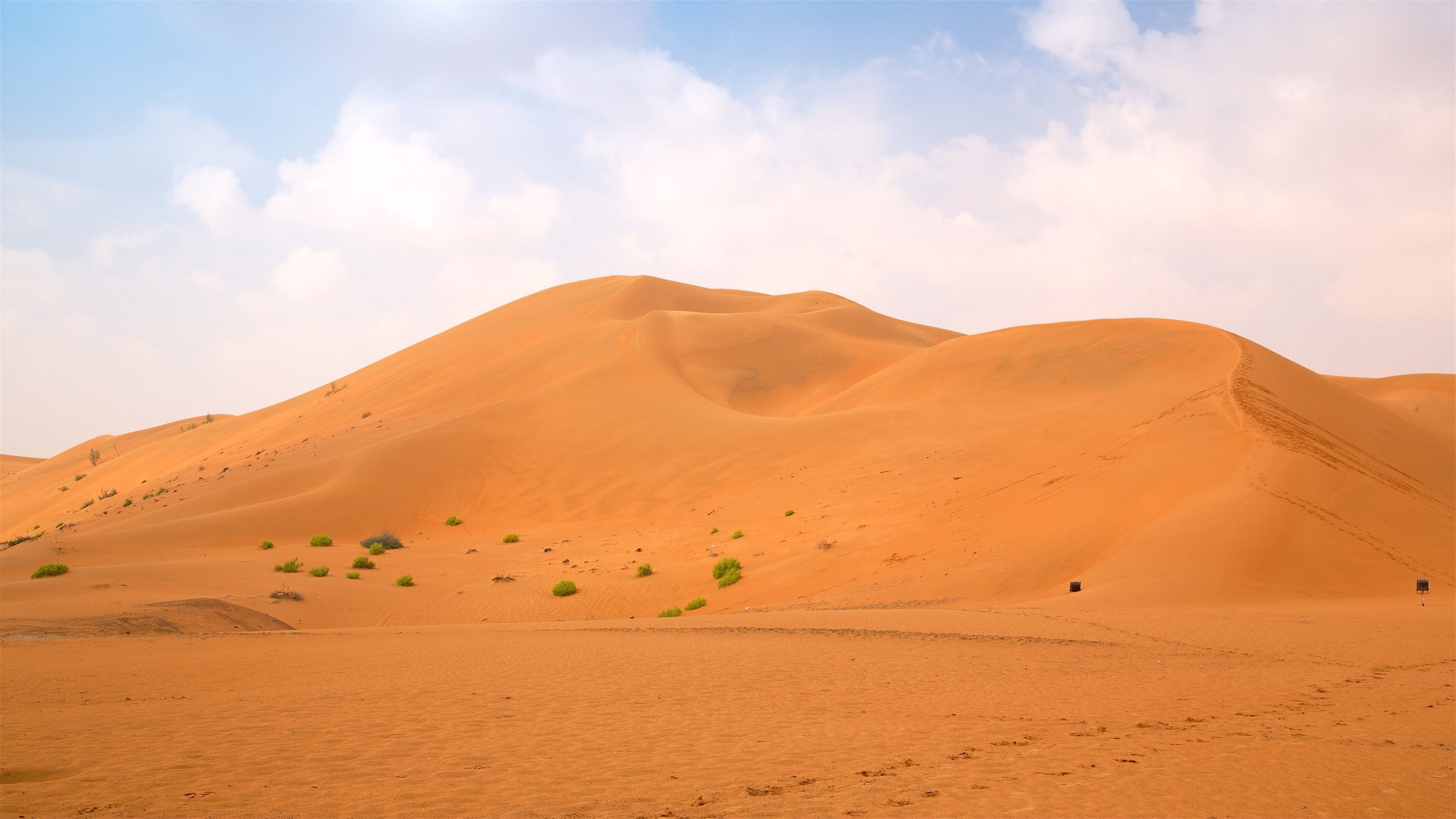 A desert landscape with sand dunes and sparse vegetation.