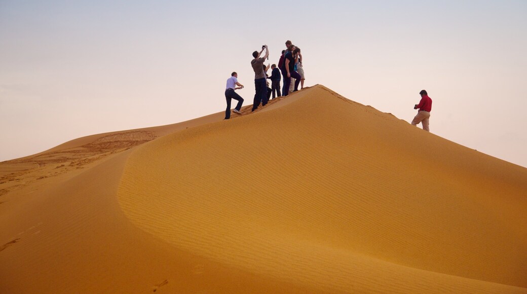 阿布扎比酋长国