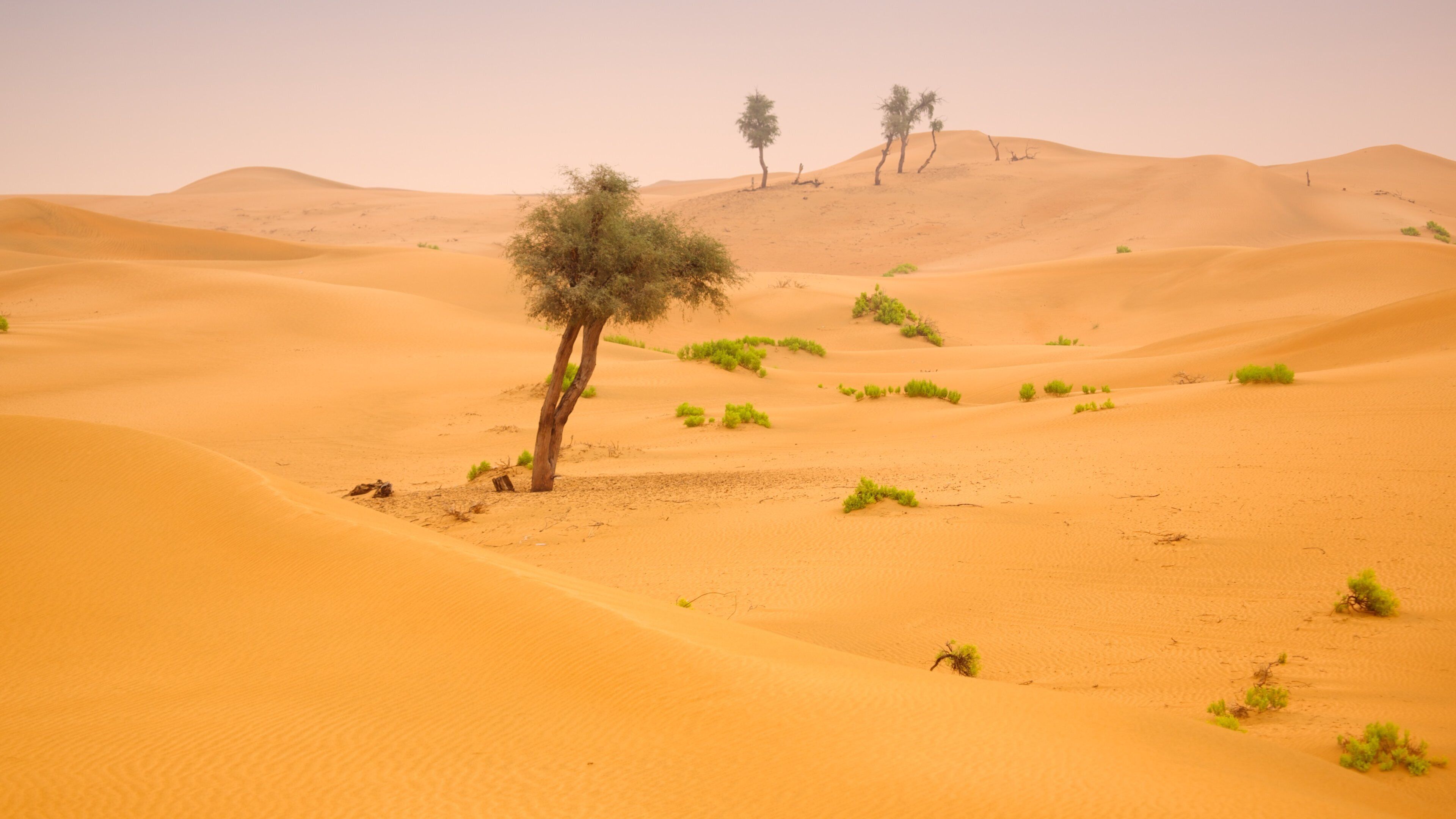 Arabian Nights Village which includes landscape views and desert views