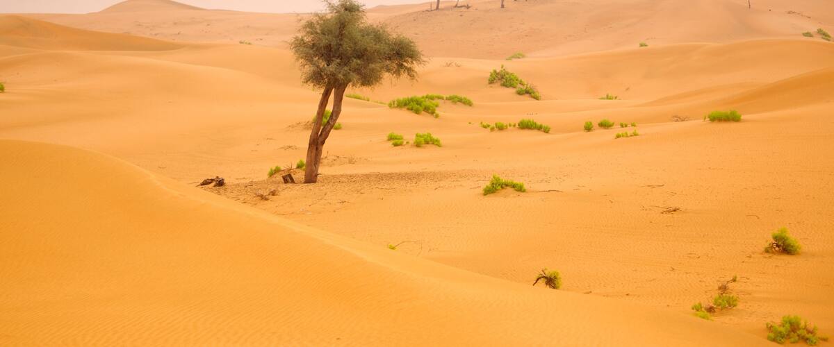 Arabian Nights Village which includes desert views and landscape views