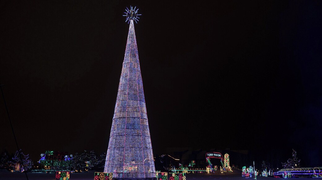 Bentleyville, awesome display of outdoor Christmas lights each winter in Duluth, MN