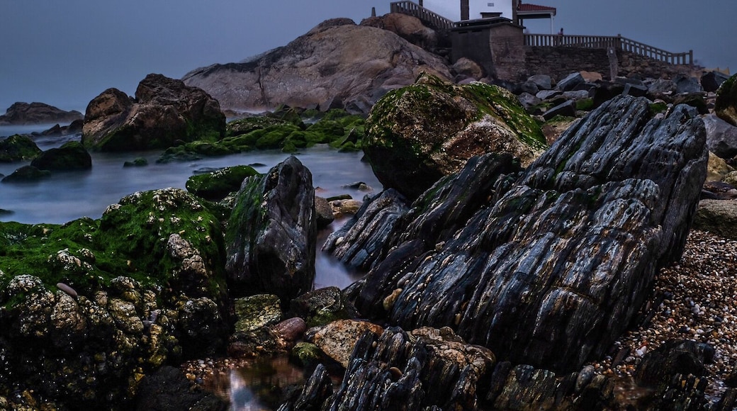 Apparently it's the middle of summer right now?