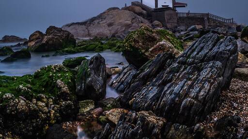 Apparently it's the middle of summer right now?