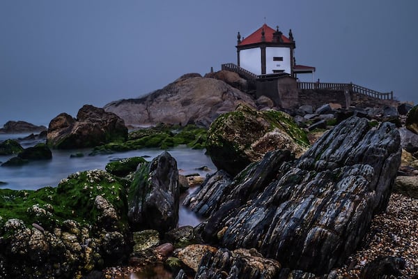 Apparently it's the middle of summer right now?