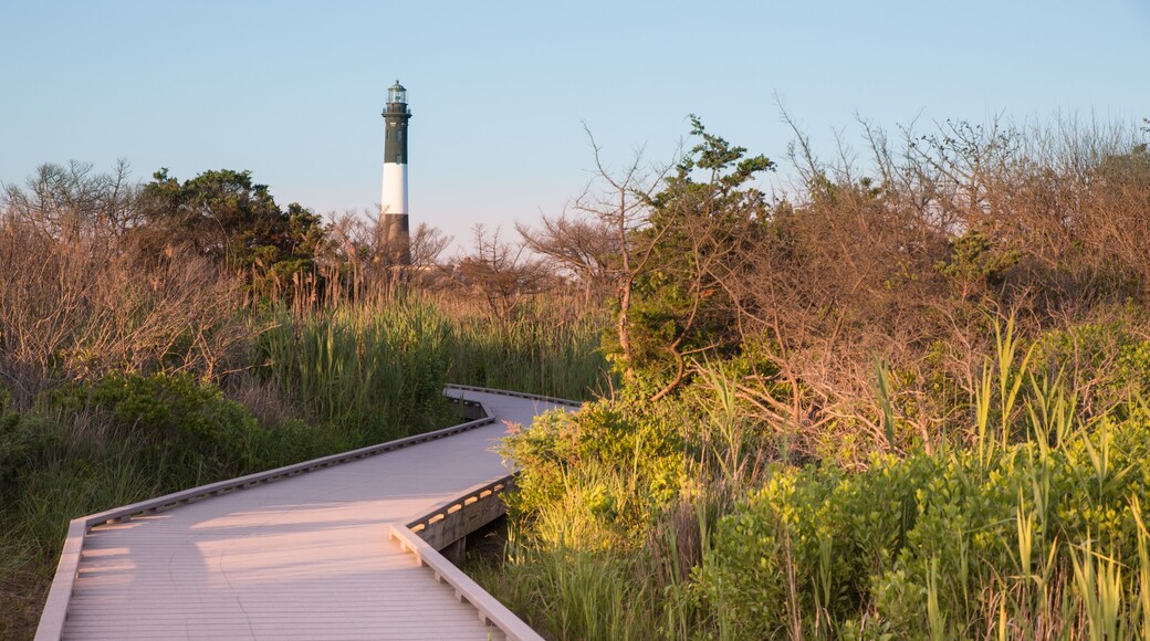 Path leading to historic Fire Island Lighthouse, Long Island New York