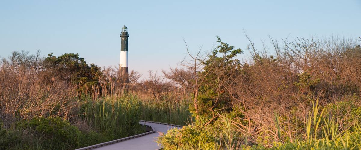 A wooden boardwalk leading to a lighthouse surrounded by dense vegetation.