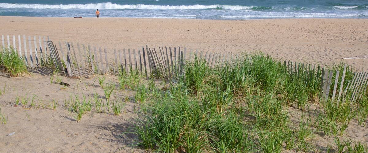 Georgica Beach showing a beach and general coastal views