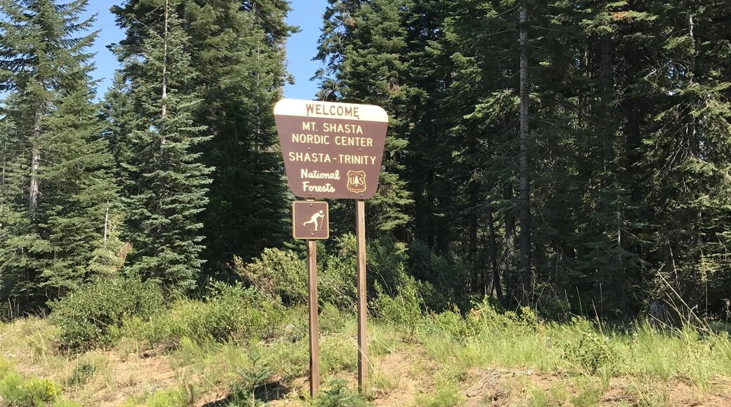 Summer on the mountain, so I am exploring for winter, but this is about 4-5 miles off hwy 89