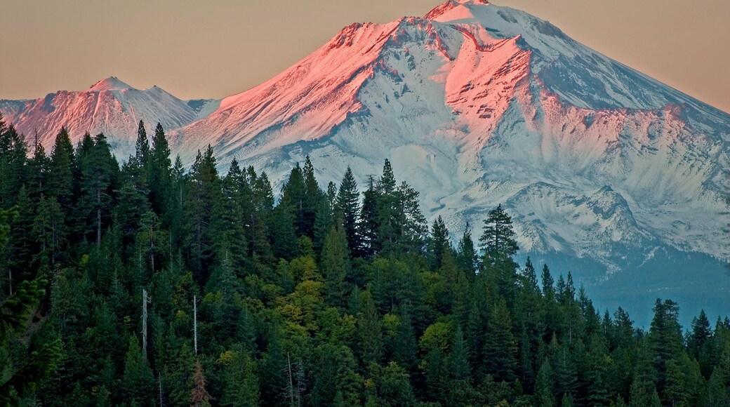 Alpine Glow Viewed from Castle Crags State Park, warm sunset light illuminates the western face of Mount Shasta, Cascade Range, California.