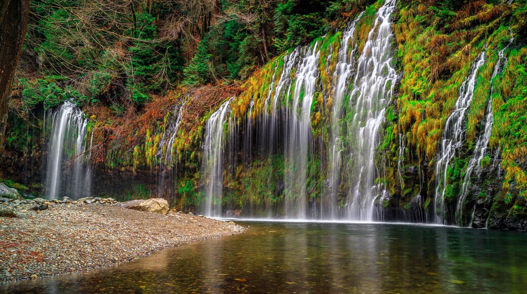 Majestic Mossbrae Falls, Dunsmuir, California