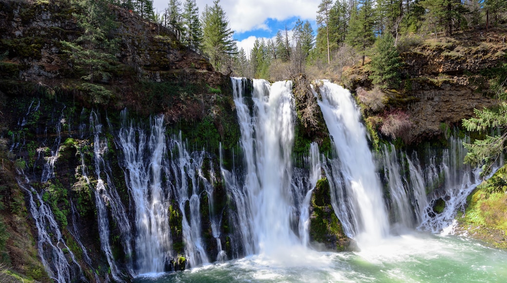 MacArthur Burney Falls, California, USA