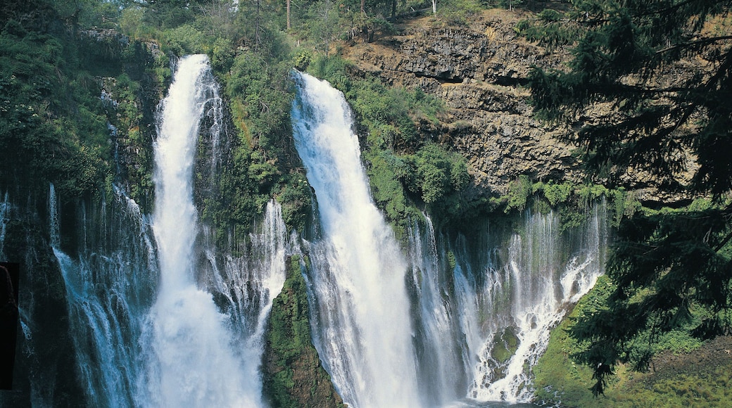 McArthur-Burney Falls Memorial State Park