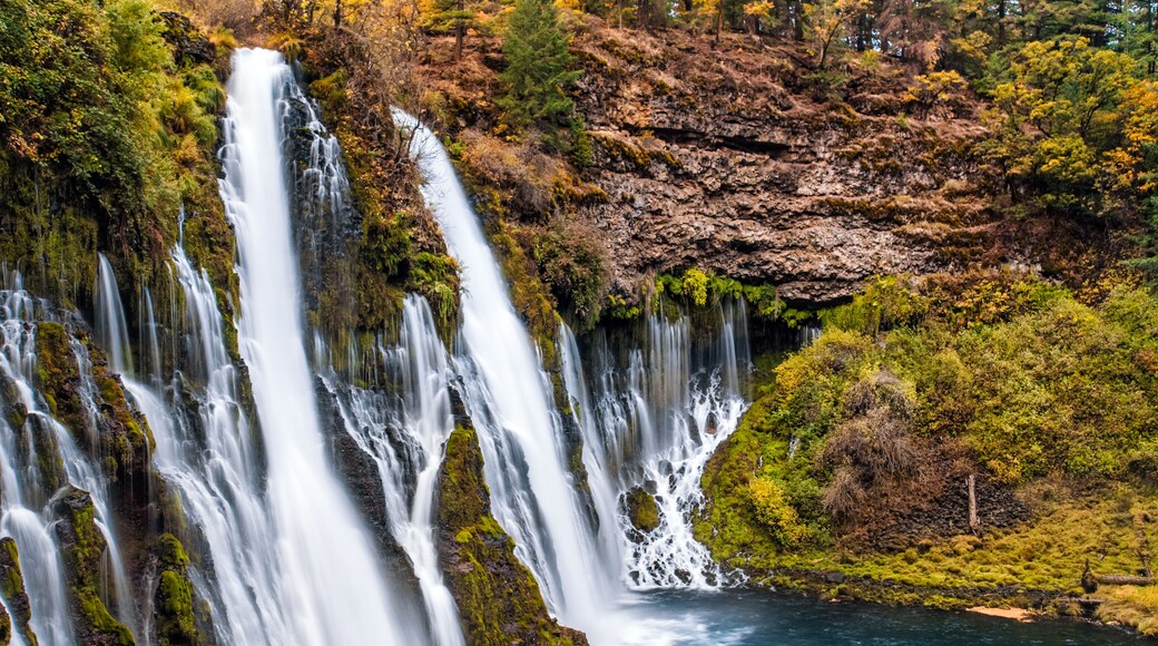Picturesque waterfall cascade in autumn, surrounded by the moss and yellow bushes. Shot taken in October at McArthur-Burney Falls Memorial State Park, in Shasta County, Northern California.