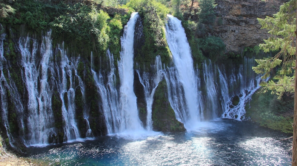 This place hidden in the middle of nowhere. Discovered about this place when I was near Mt Shasta and made plans to just stop by.Its very unusual the way the water just distributes in a wide area. Water is crystal clear aqua color , you can see the rocks and pebbles lying below . A great place to just sit on the rock and appreciate nature , you will not believe how beautiful it is . A good spot for fishing and relaxing .