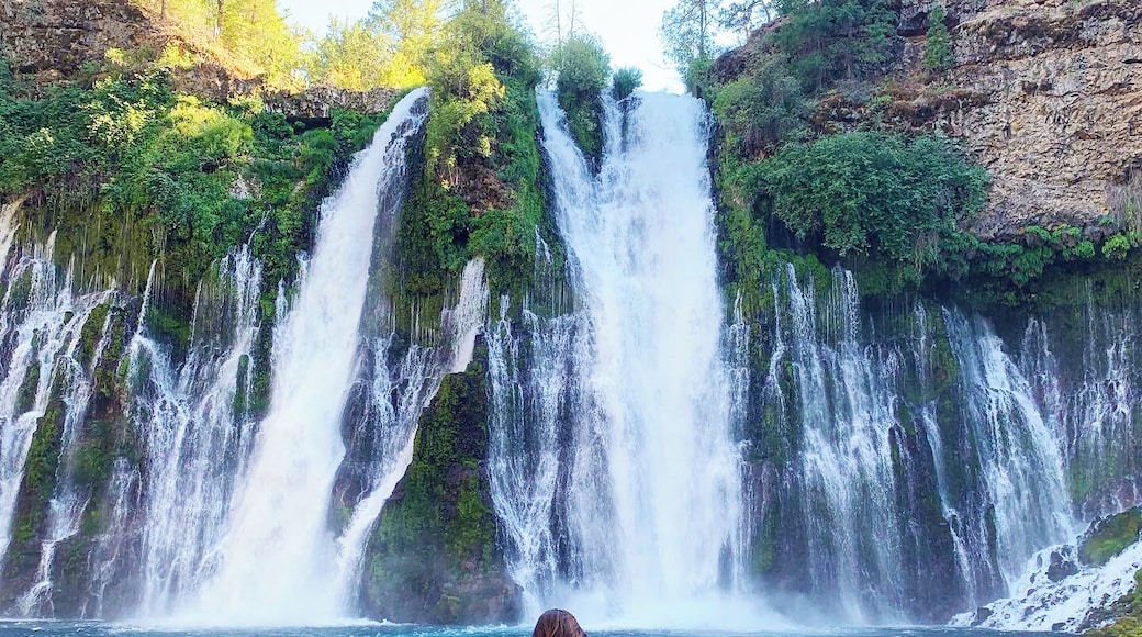 I've been to a lot of places but I think I found my piece of heaven here. #Adventure #BurneyFalls #Shastacounty #northerncalifornia #californialove #summer2019 #refreshing #cascades #magical #waterfall #coolingoff #roadtrip