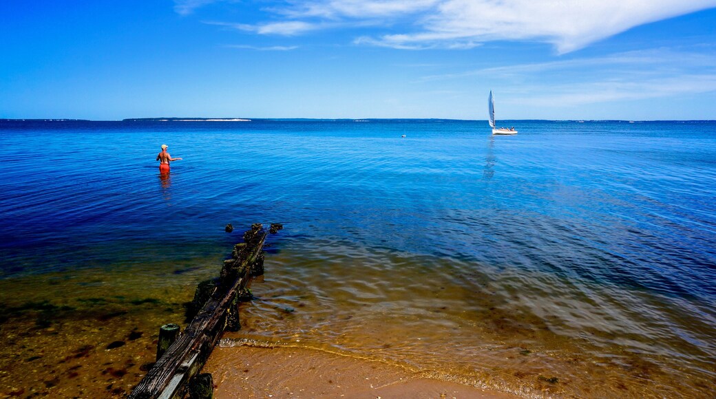 Man watching sailboat on Long Island Sound