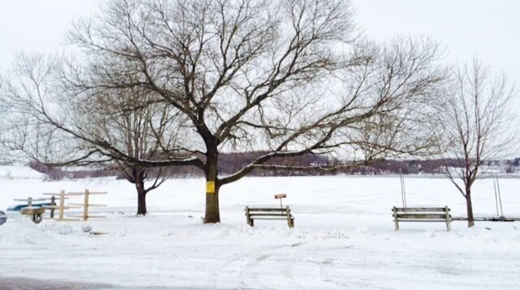 First Day of Spring and it's Snowing. Not to mention it's on a Friday and an Eclipse!! Freaky Friday indeed!!