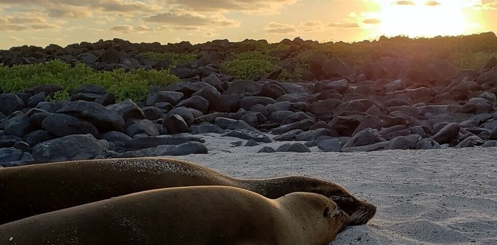 Bedtime in the Galapagos #golden