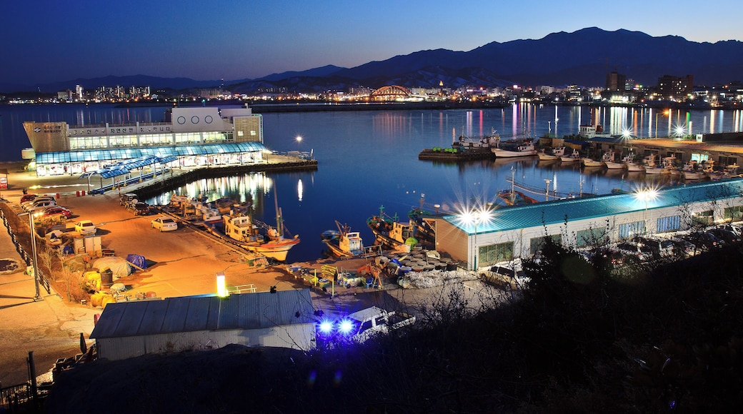 Night view of Dongmyeong harbor