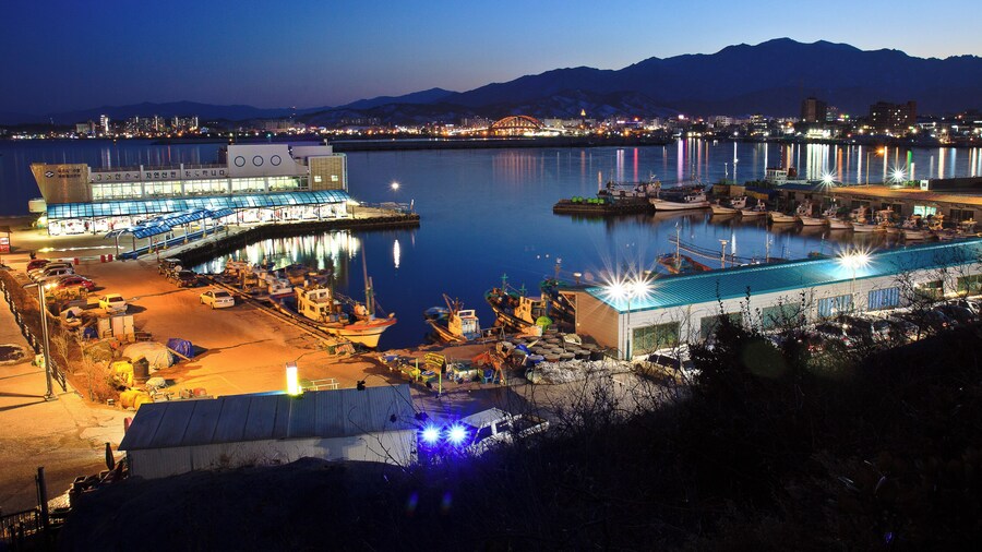 Night view of Dongmyeong harbor