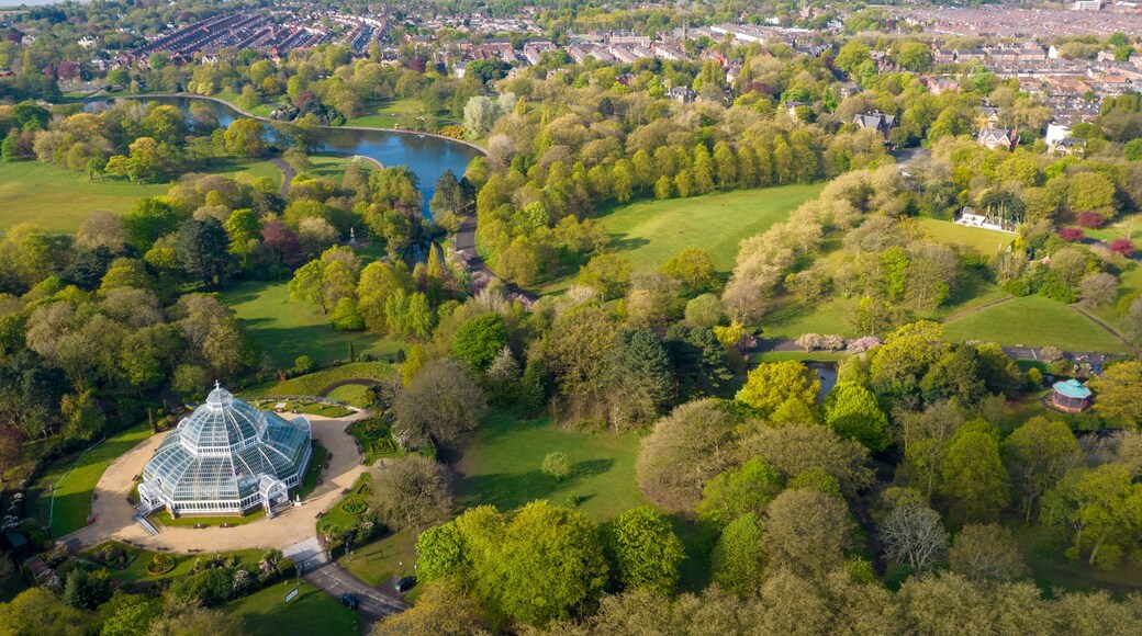 The Palm House and Sefton Park in Liverpool