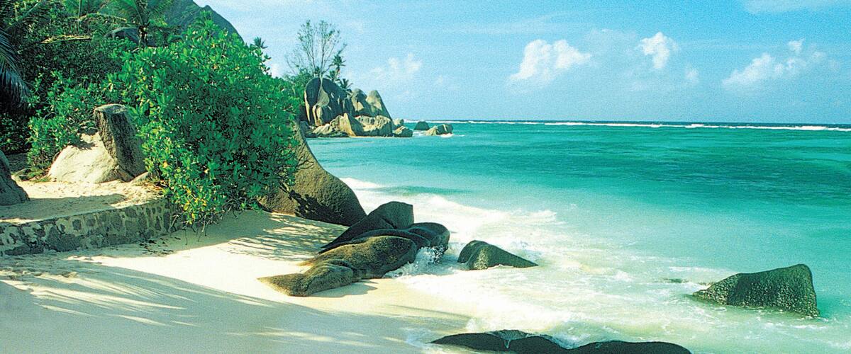 A sandy beach with clear turquoise water, large rocks, and palm trees.