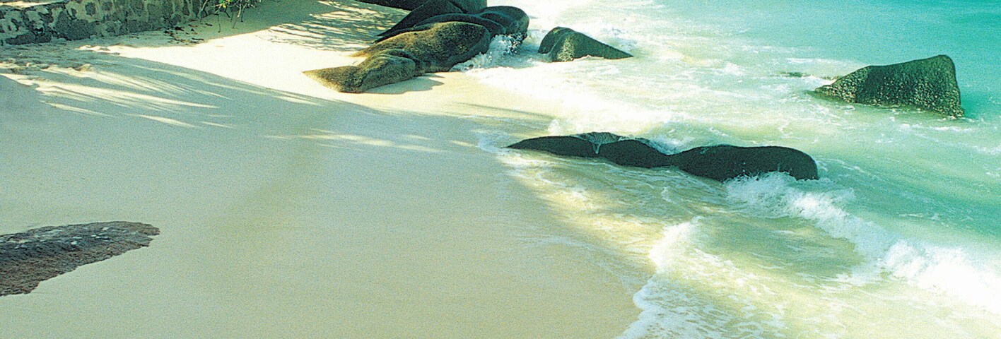 A sandy beach with clear turquoise water, large rocks, and palm trees.