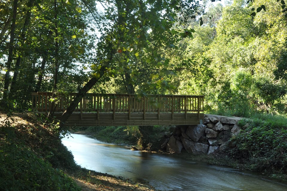 Un puente de madera sobre un río tranquilo, rodeado de abundante vegetación y árboles.