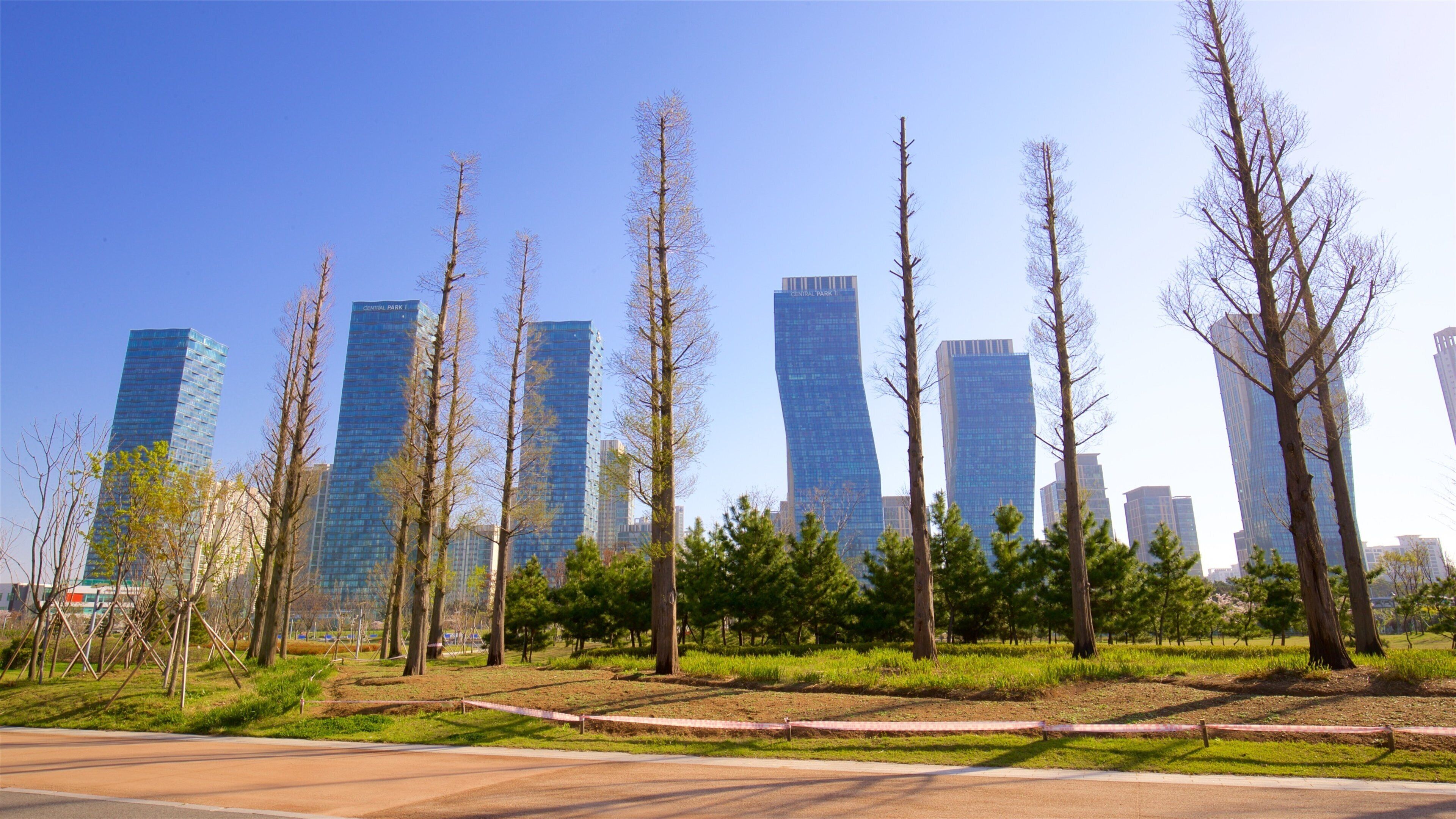 Parc Songdo Central Park montrant coucher de soleil, ville et jardin